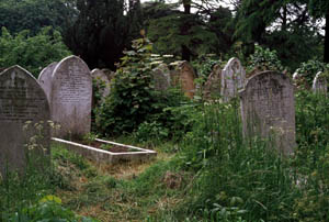 Friedhof/cemetery