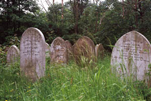 Friedhof/cemetery