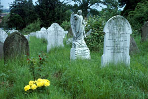 Friedhof/cemetery