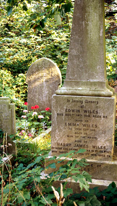 Friedhof/cemetery