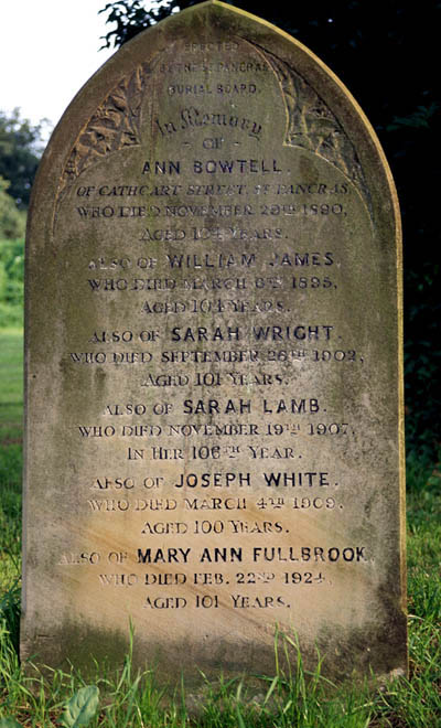 Friedhof/cemetery