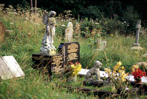 Friedhof/cemetery
