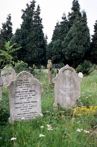 Friedhof/cemetery