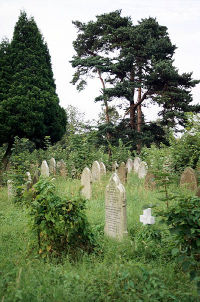 Friedhof/cemetery