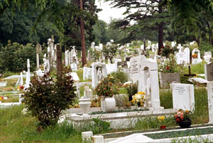 Friedhof/cemetery