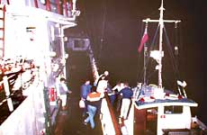 Ross Revenge, disembarkation