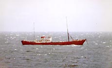 Ross Revenge